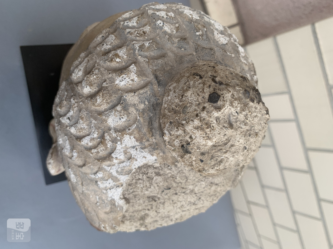 A STUCCO HEAD OF BUDDHA SHAKYAMUNI - 图10